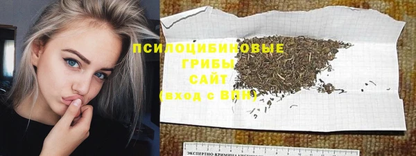 PSILOCYBIN Верхний Тагил